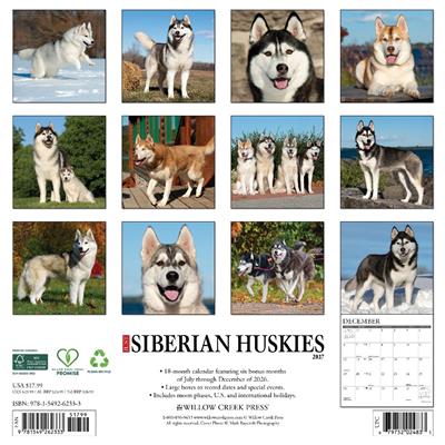 Siberian Huskies 2027 12" x 12" Wall Calendar