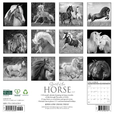 Spirit of the Horse 2027 12" x 12" Wall Calendar