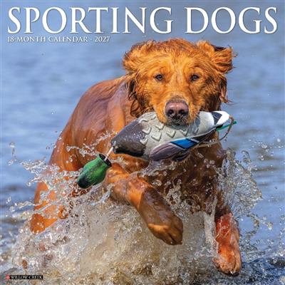Sporting Dogs 2027 12" x 12" Wall Calendar