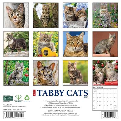 Tabby Cats 2027 12" x 12" Wall Calendar