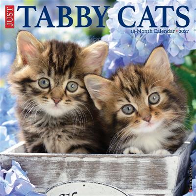 Tabby Cats 2027 12" x 12" Wall Calendar