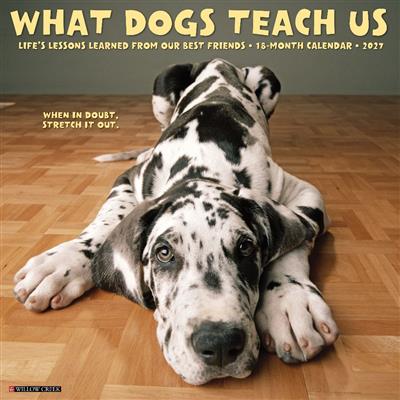 What Dogs Teach Us 2027 12" x 12" Wall Calendar