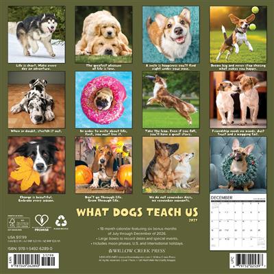 What Dogs Teach Us 2027 12" x 12" Wall Calendar