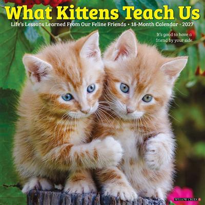 What Kittens Teach Us 2027 12" x 12" Wall Calendar