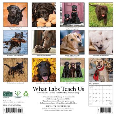 What Labs Teach Us 2027 12" x 12" Wall Calendar