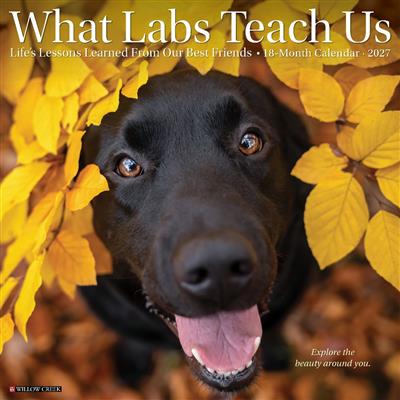 What Labs Teach Us 2027 12" x 12" Wall Calendar