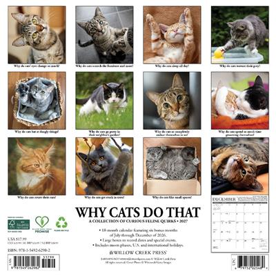 Why Cats Do That 2027 12" x 12" Wall Calendar