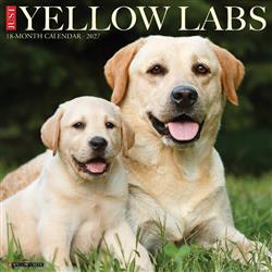 Extra Product Image