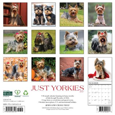 Yorkies 2027 12" x 12" Wall Calendar