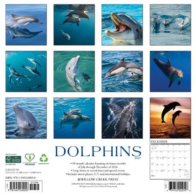 Dolphins 2027 12" x 12" Wall Calendar