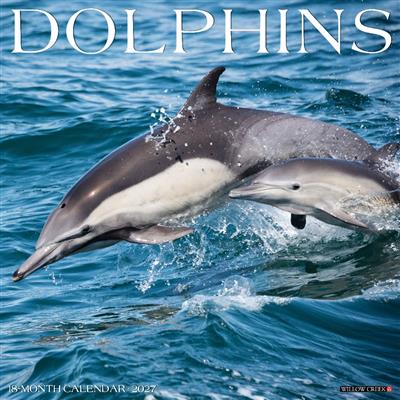 Dolphins 2027 12" x 12" Wall Calendar