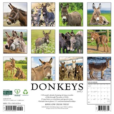 Donkeys 2027 12" x 12" Wall Calendar