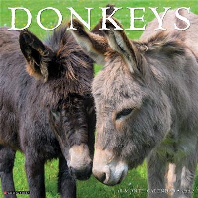 Donkeys 2027 12" x 12" Wall Calendar