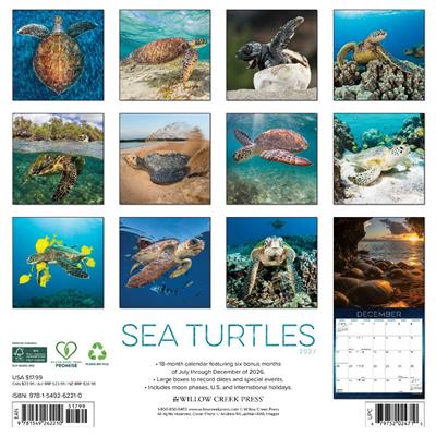 Sea Turtles 2027 12" x 12" Wall Calendar