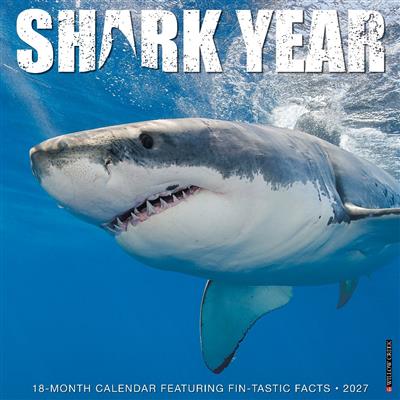 Shark Year 2027 12" x 12" Wall Calendar
