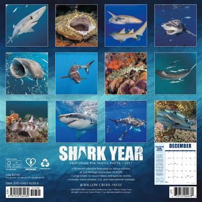 Shark Year 2027 12" x 12" Wall Calendar