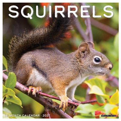 Squirrels 2027 12" x 12" Wall Calendar
