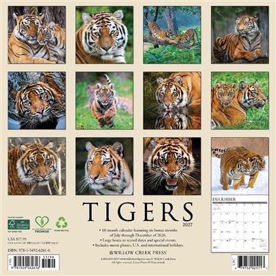 Tigers 2027 12" x 12" Wall Calendar