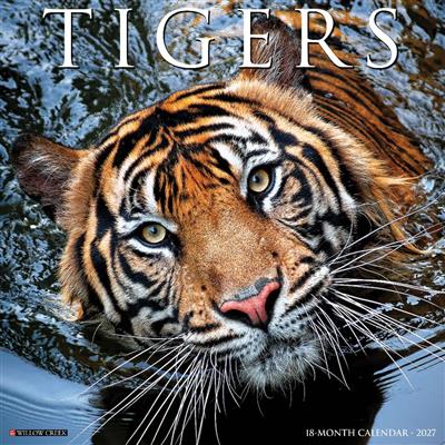 Tigers 2027 12" x 12" Wall Calendar