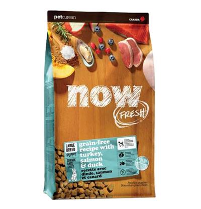 Petcurean - Now Fresh Dog Grain Free Large Breed Puppy Turkey 12Lb