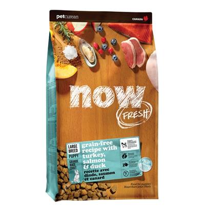 Petcurean - Now Fresh Dog Grain Free Puppy Large Breed Turkey 25Lb