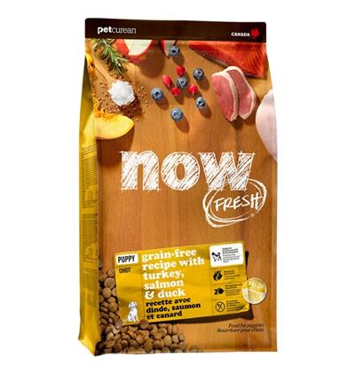 Petcurean - Now Fresh Dog Grain Free Puppy Turkey 22Lb