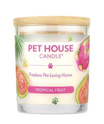 Pet House Tropical Fruit Large Candle (Case of 3)