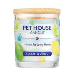 Pet House Candle Sea Salt & Citrus Large Candle 9Oz 3 Count