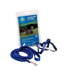 Petsafe Cat Come With Me Kitty Harness And Bungee Leash Royal Blue Large