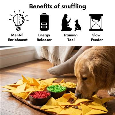 Cheesy Nachos by LuvMyFido