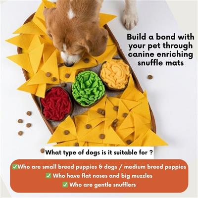 Cheesy Nachos by LuvMyFido