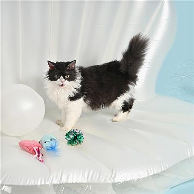 Ocean Pals — Jellyfish&Squid