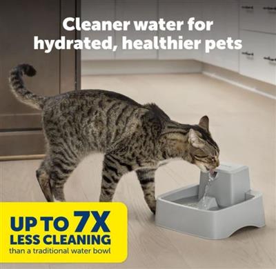 Petsafe Dog & Cat Drinkwell Fountain - 1/2 Gallon