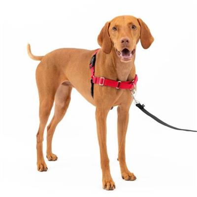 Petsafe Dog Easy Walk Harness Red Medium