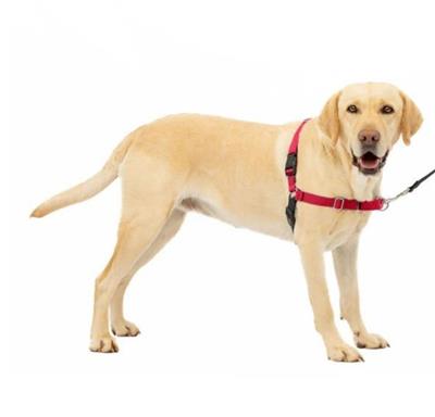 Petsafe Dog Easy Walk Harness Red Large