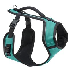 Petsafe Dog Easy Sport Harness Teal Medium