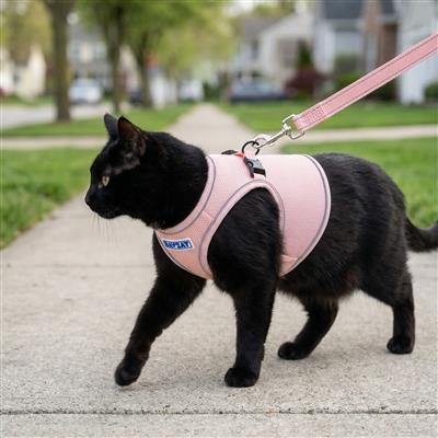 BAYCAT Cat Harness & Leash (PRE-ORDER)
