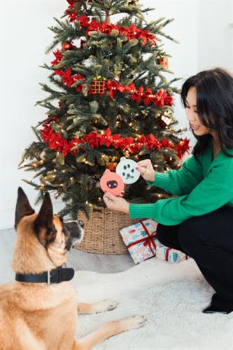 Pearhead Pet Nose Print Ink Pad