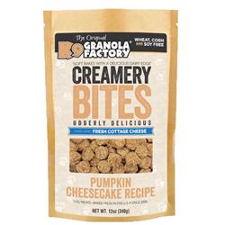 K9 Creamery BITES Pumpkin Cheesecake