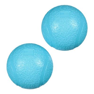 Small Boundr Two Pack - Puppy Chew & Play Toy