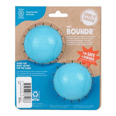 Small Boundr Two Pack - Puppy Chew & Play Toy
