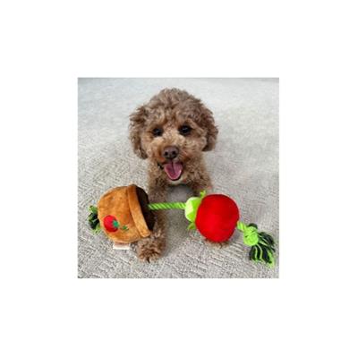 Territory Dog Treat Tug Tomato 15 Inch