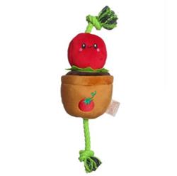 Extra Product Image