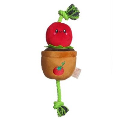 Territory Dog Treat Tug Tomato 15 Inch