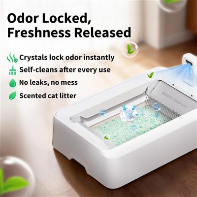 Crystal Litter Set (Fresh Green) - 4 Packs