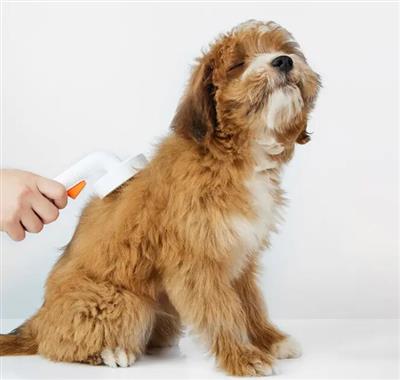 Large Pet Grooming Brush-New