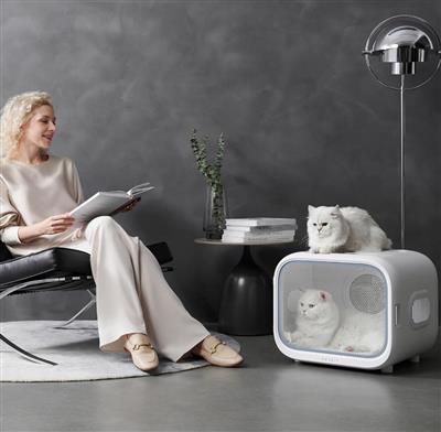 AirSalon Max