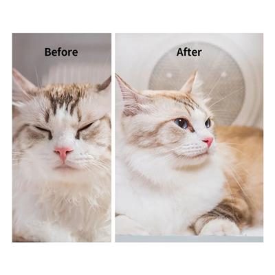 AirSalon Max Pro
