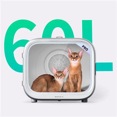 AirSalon Max Pro