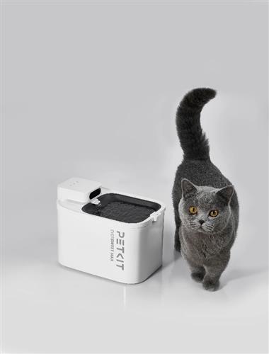 EverSweet Max (CORDLESS)